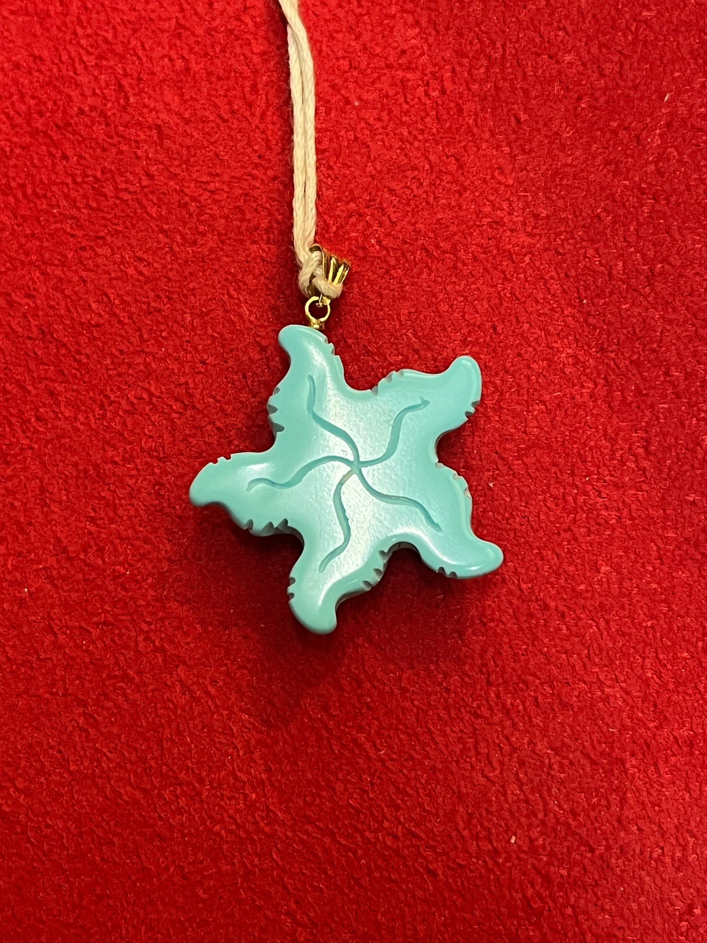 Ciondoli in Pasta Di Turchese