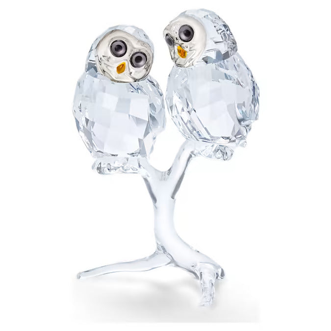 Swarovski Crystal Living Coppia Di Gufi